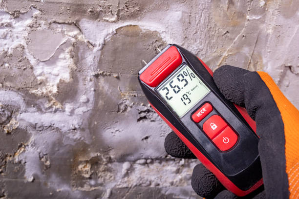 Best Residential Mold Remediation in Bouse, AZ